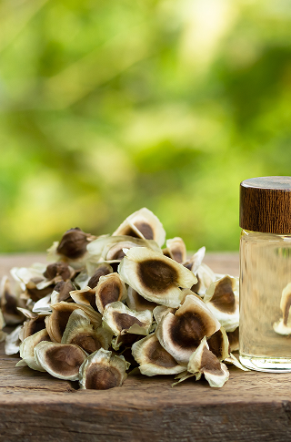 Moringa Oil Stori of Africa