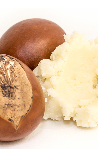 Shea Butter Stori of Africa