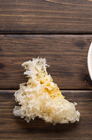 Snow Mushroom Extract Stori of Africa